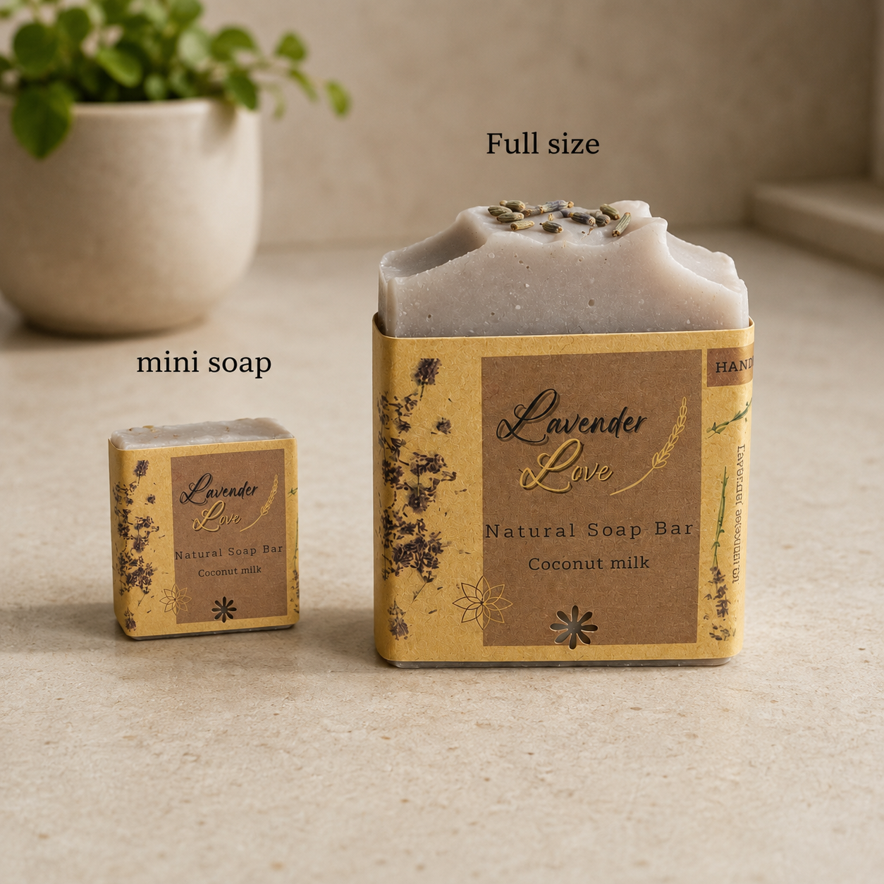 Soap Discovery Box
